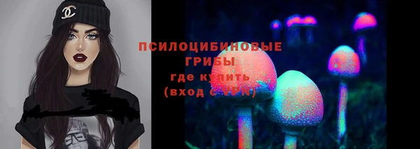 бутират Магас