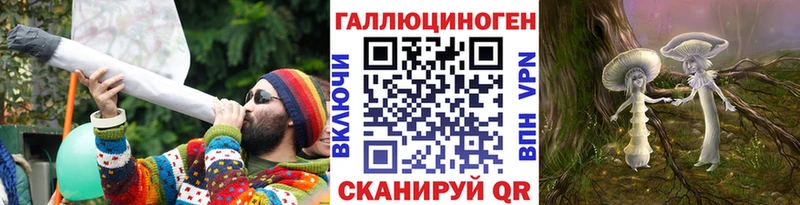 Псилоцибиновые грибы Psilocybe  Купить где  Устюжна 